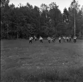 Tele-kaveln. En orienteringstävling. Orienterare, med nummerlappar, kommer löpande ur skogen. De har sina kartor i händerna.