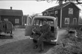 Tore Andersson, Mossen. Han har öppnat bakdörrarna på sin bil och sitter där. Diverse föremål finns på gårdsplanen. Bakom bilen ses två bostadshus.