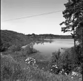 Tjurlången och Sirsjön, miljöbild.
Landskap.