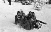 Träffpunkt Arboga.
Sex ungdomar åker pulka i snön.