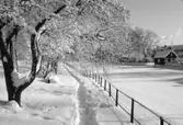 Snö på norra åpromenaden, intill Strandvägen. Utsikt över isen på Arbogaån och ågården på Storgatan 20, på åns södra sida.