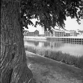 Utsikt från södra strandpromenaden mot hamnen.
Hamnmagasinen vid kajen. I bakgrunden ses Sankt Nikolai kyrka.
Arbogaån.