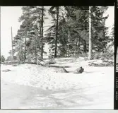 Kung Karl sn.
RAÄ 554/71.