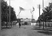 Entré till Hantverks- och Industriutställningen i Varberg 1904. Den breda vägen kantas av träd på båda sidor och svensknorska unionsflaggor vajar i vinden. En elstolpe knyter samman ett stort antal trådar.