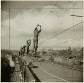 Kontaktledningsmontage; uppsättning av bärtrådar.