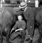 Ny specialmjölk.
13 januari 1959.