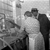 Ny specialmjölk.
13 januari 1959.