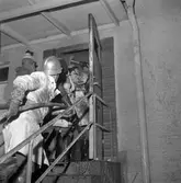 Brandexplosion i Lillån.
14 januari 1959.