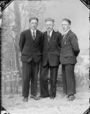 Ateljéporträtt - tre män från Börstil, Uppland