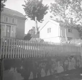 Vy från Figeholm, bostadshus med träpanel och sadeltak samt förstuga.