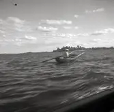 Figeholms skärgård. En man ror en eka.