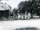 Trumslagarbacken, Västerås.
Trumslagarskogen, 1913.