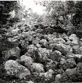 Johannisberg, Västerås
Fornborg, 