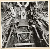 Torpedrum. Utrymmet under durk mellan torpedtuber, sett förifrån.