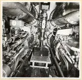 Torpedrum. Rodermaskineri sett akterifrån m,ellan torp.tuberna.