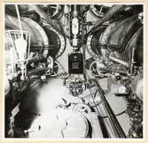 Torpedrummet. Förliga ändskottet.