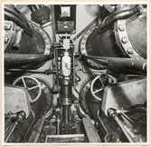 Torpedrummet. Förliga skottet sett akterifrån.