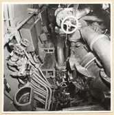 Torpedrummet. BB sida (bordvarts om tuberna) sedd akterifrån durken.