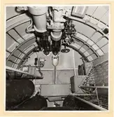 Häckrummet. Aktra skott och tak sett förifrån.