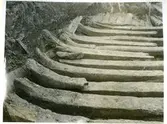 Från utgrävningen av båtfyndet i Gamla hamnen i Västerås, 1935.
Spanten.
