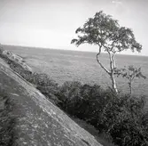 Vy från Blå Jungfrun.