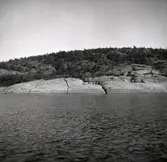 Vy från Blå Jungfrun. Klipphäll med vegetation.