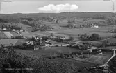 Utsikt från Börsås mot jordbrukslandskapet i Hällesåker på 1940-talet.