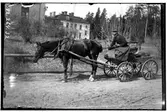 Hålhults sanatorium, exteriör, häst med vagn, sanatoriebyggnad i bakgrunden kusken Karl Palmer?