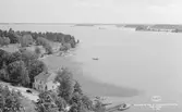 Getå 1949
