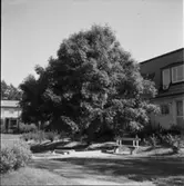 DIVERSE DETALJER ANLÄGGNING SKÖNSTAHOLM