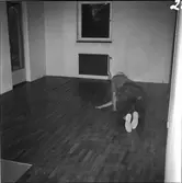 REPOTAGE PÅ GOLVSLIPNING OCH SYNTEKOBEHANDLING (SYNTEKO HÄRDLACK)