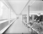 LASARETT I EKSJÖ
EXTERIÖR, INTERIÖR