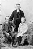 Ateljéporträtt - tre pojkar, Östhammar, Uppland
