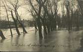 Vykort med motiv över en översvämning. Enligt texten på vykortet: En bild af övfersvämning i Svallet i maj.