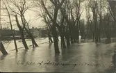 Vykort med motiv över en översvämning. Enligt texten på vykortet: En bild af övfersvämning i Svallet i maj.