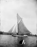 Segelbåt, Östhammar, Uppland 1902