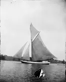 Segelbåt, Östhammar, Uppland 1902