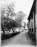 Guldskärsgatan, Östhammar, Uppland