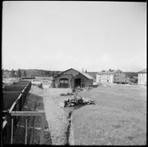 Vy över lokstallet i Fors, på bilden verkstad.