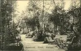 Vykort med motiv över parken vid Tivoli i Sundsvall.