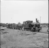 Museijärnväg med ångtåg och lok 6. Dressin ses mitt i bild bland ogräset.