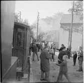 Resande till Museijärnvägen Östra Södermanlands Järnväg, ÖSlJ persontåg vid hållplats Lina bruk.