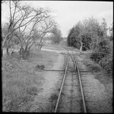 Vy över järnvägsspår med manuell växel.