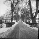 I allén mitt i bild ses en järnvägsövergång med bommar och signal som användes av Museijärnväg Östra Södermanlands Järnväg, ÖSlJ. Bilden är tagen strax utanför lokstallet i Mariefred.