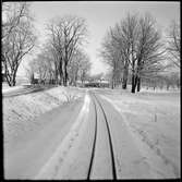 Vy över järnvägsspår som leder till järnvägsstationen i Mariefred som användes av Museijärnväg Östra Södermanlands Järnväg, ÖSlJ. Mitt i bild ses lokstallet.