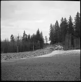 Förberedande arbete inför läggning av Museijärnvägen, Östra Södermanlands Järnväg, ÖSlJ smalspår för banförlängningen Läggesta Södra.