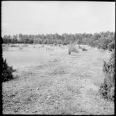 Kalkbrott i Valleviken.