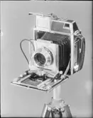 6x9, 9x12, SPORTSRER DUBBEL 8, 8M. PROJEKTOR NR 606