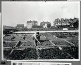 Nymans handelsträdgård  var belägen i kv Drivbänken där Möllevägsskolans byggnad från 1954 finns.