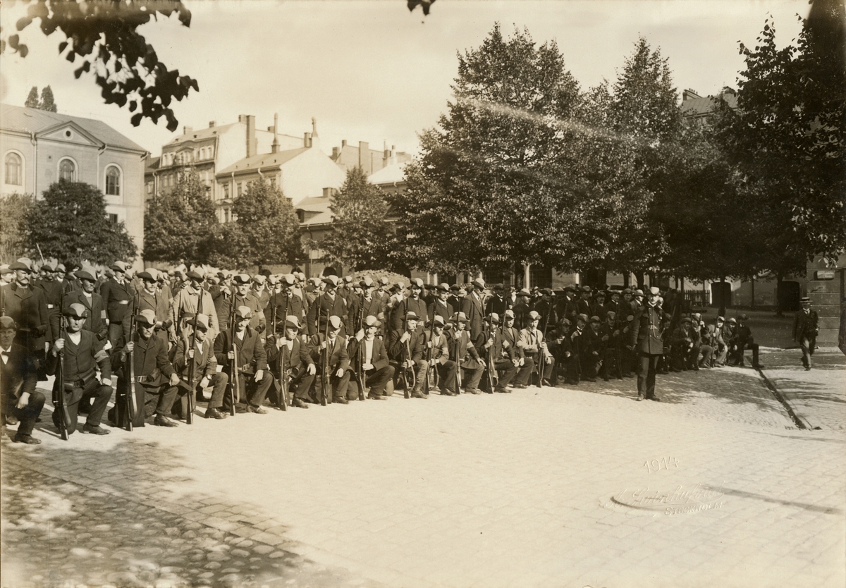 Axel A W Swinhufvud, Landstormens mobilisering 1914, uppställning på Artillerigården utanför Armémuseum.